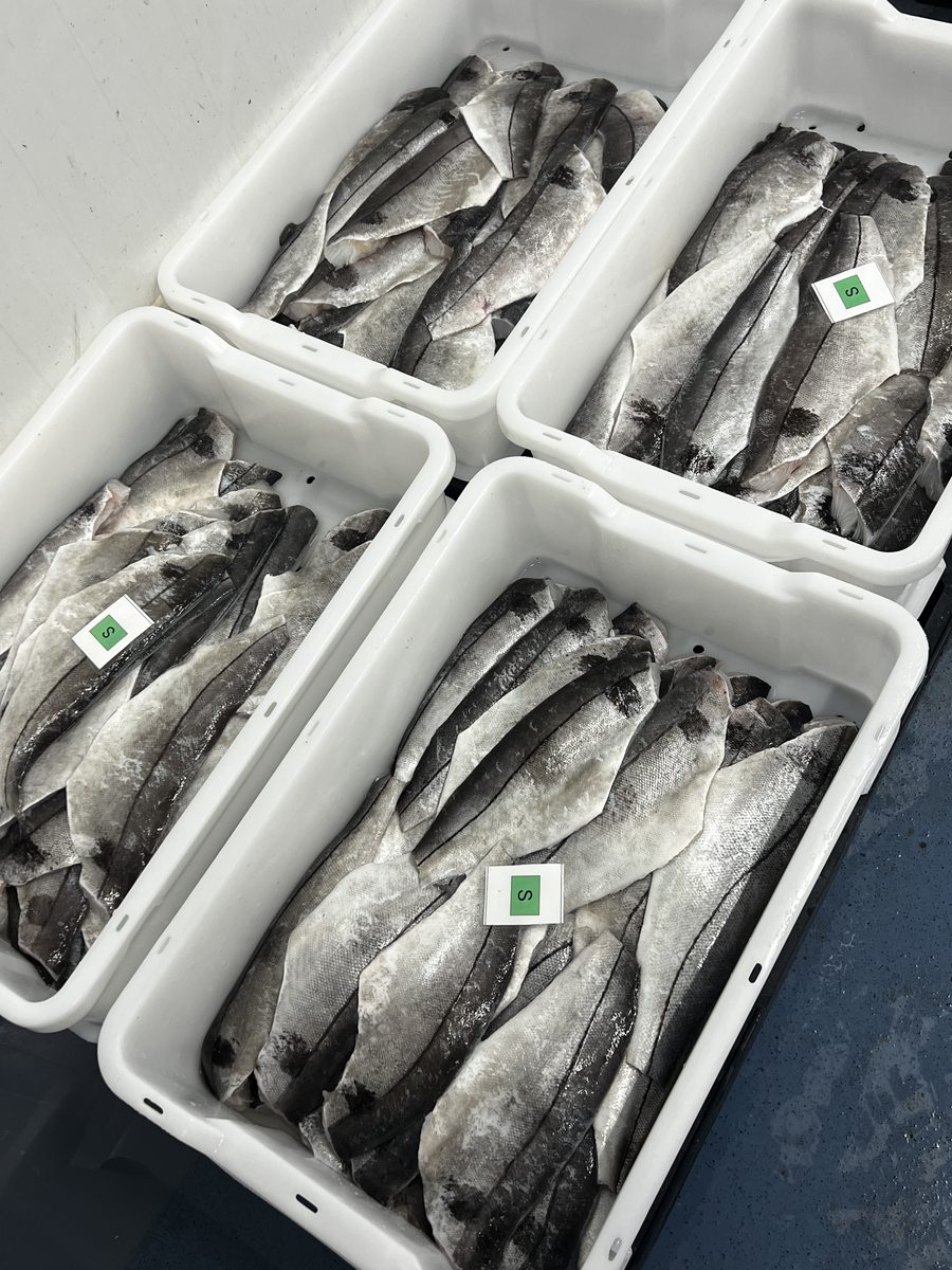 Fresh fish