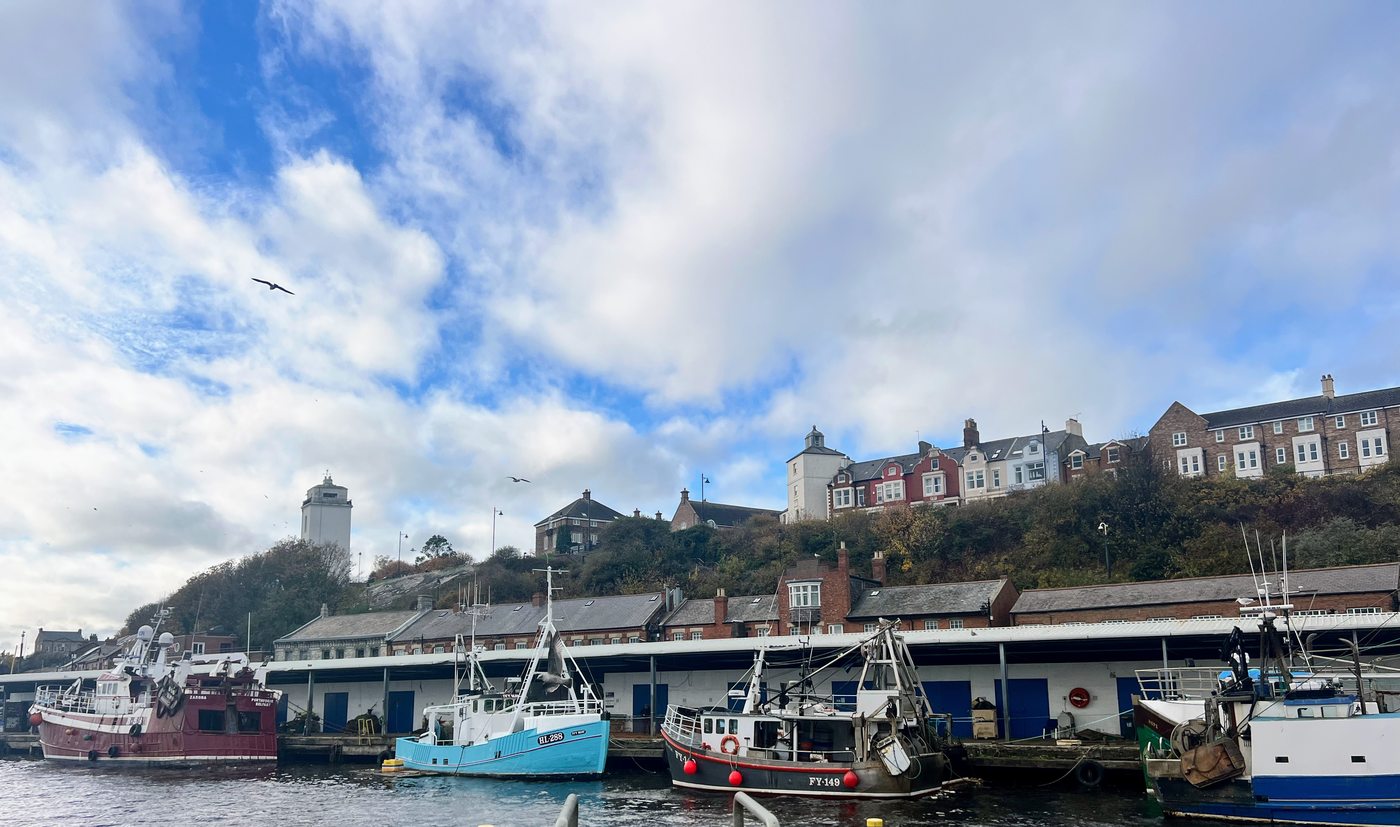Langoustine fishing boats